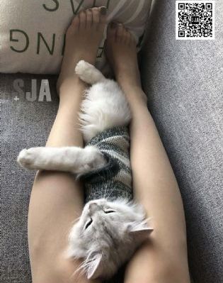 欧美日韩精品久久久91免费观看_BD英语高清迅雷在线观看